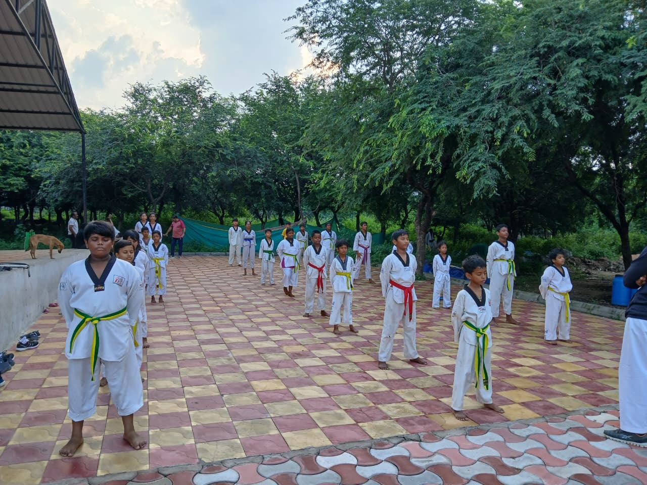 Ganghan kids practising Taekwondo outdoors near Mansoorabad